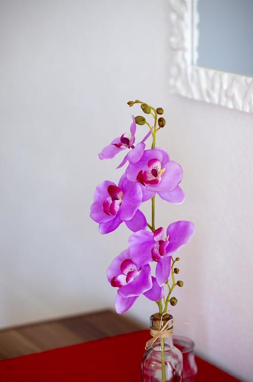 هفار Apartments Julija المظهر الخارجي الصورة